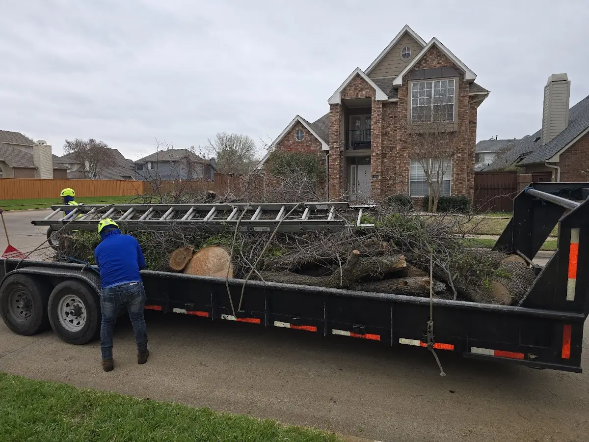 Expert Tree Removal with proper safety equipment in Flat Rock